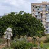 ...e da un orso di peluche �spaventapasseri�, dove vengono coltivate piante di ogni genere...